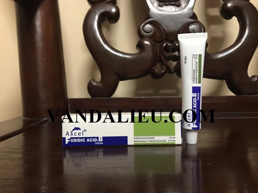 Kem bôi ngoài da axcel fusidic acid-b cream 15g.