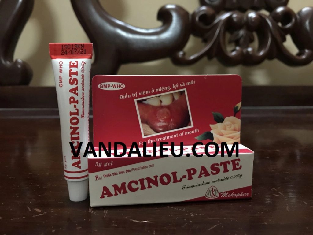 Gel bôi dịu nốt nhiệt miệng Amcinol - paste gel 5g